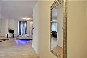 Luxury In The Forest